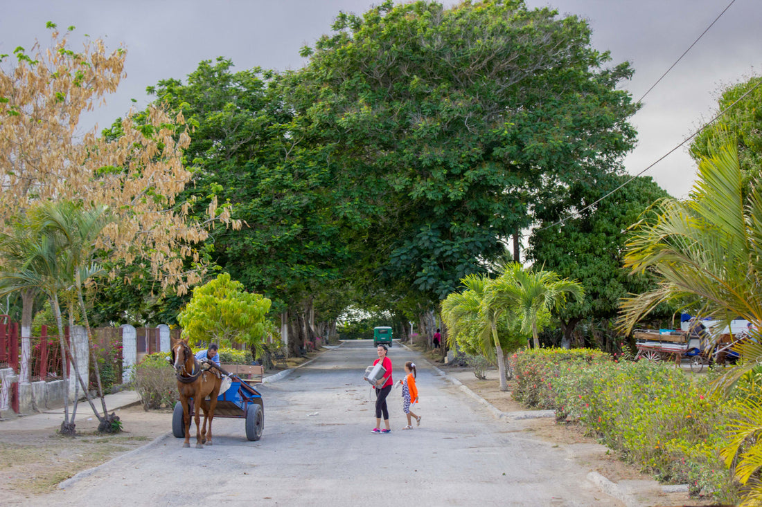 Stories from Cuba - Hayley Texidor