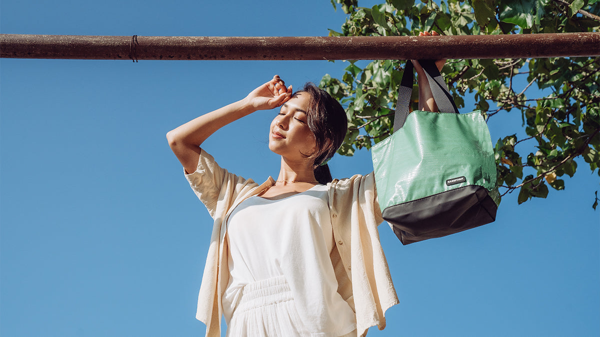 The Solid Collection