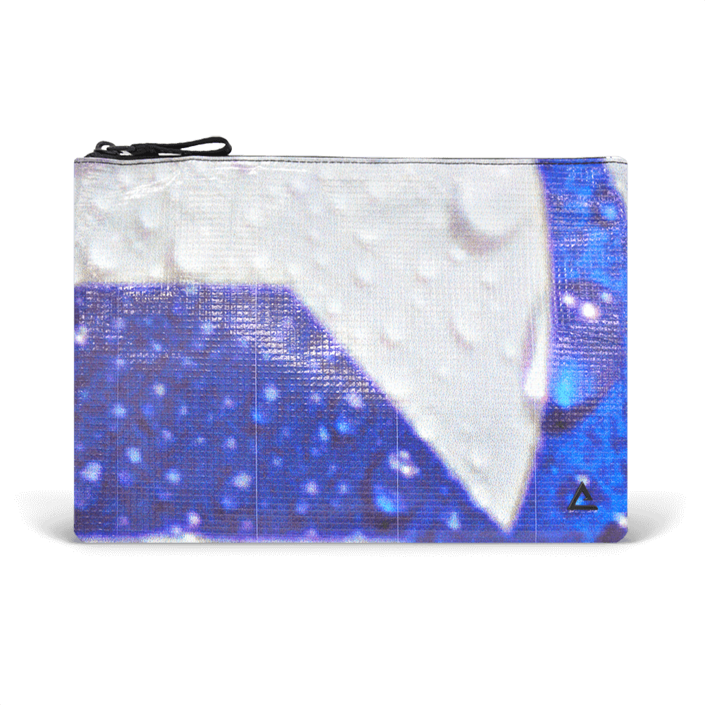 Charlie Pouch