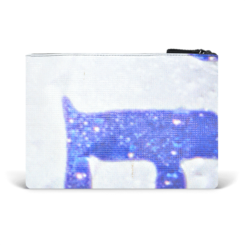 Charlie Pouch