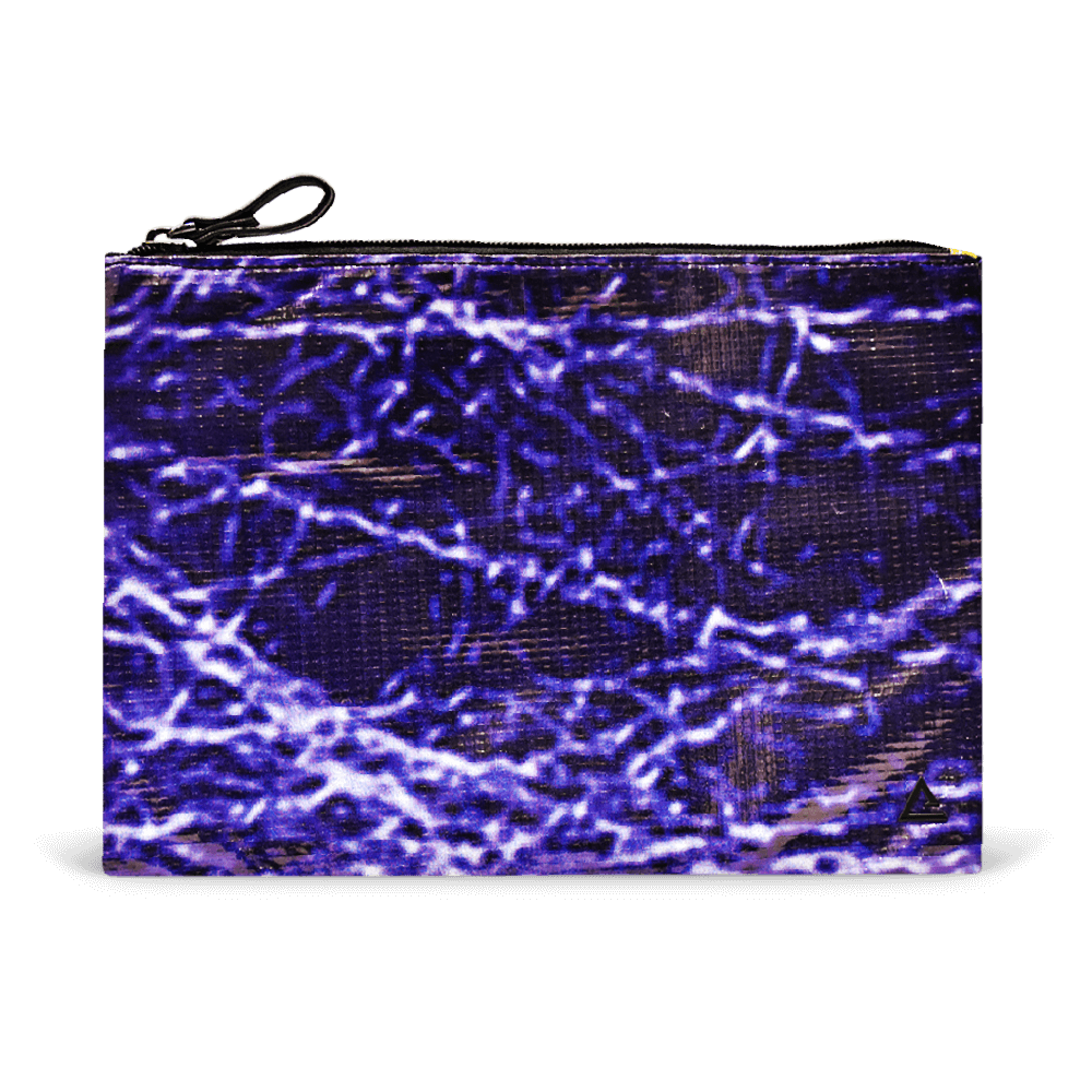 Charlie Pouch