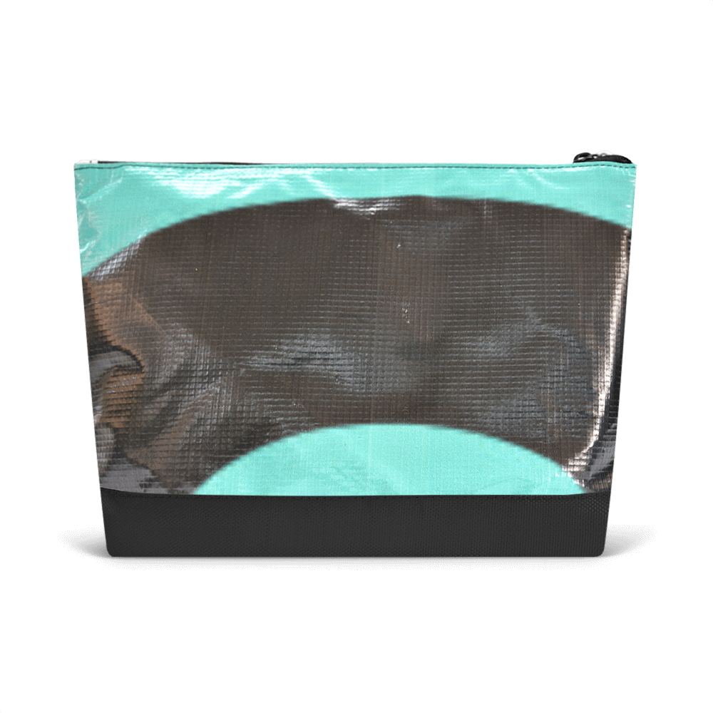 Frankie Pouch