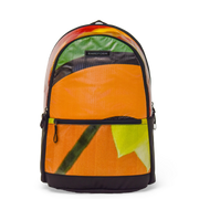 Everyday Backpack