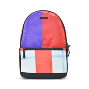 Everyday Backpack
