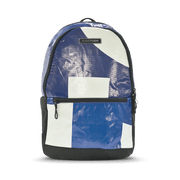 Everyday Backpack