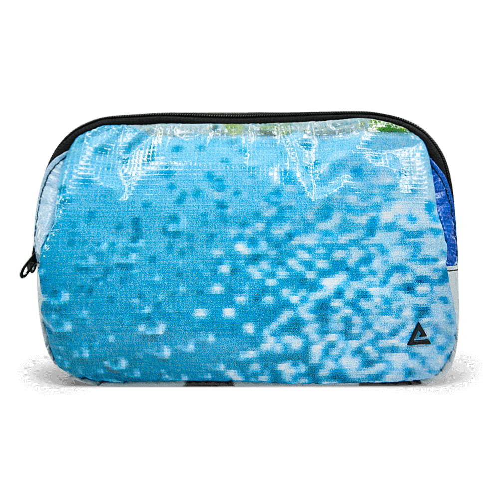 Large Zion Sling Bag