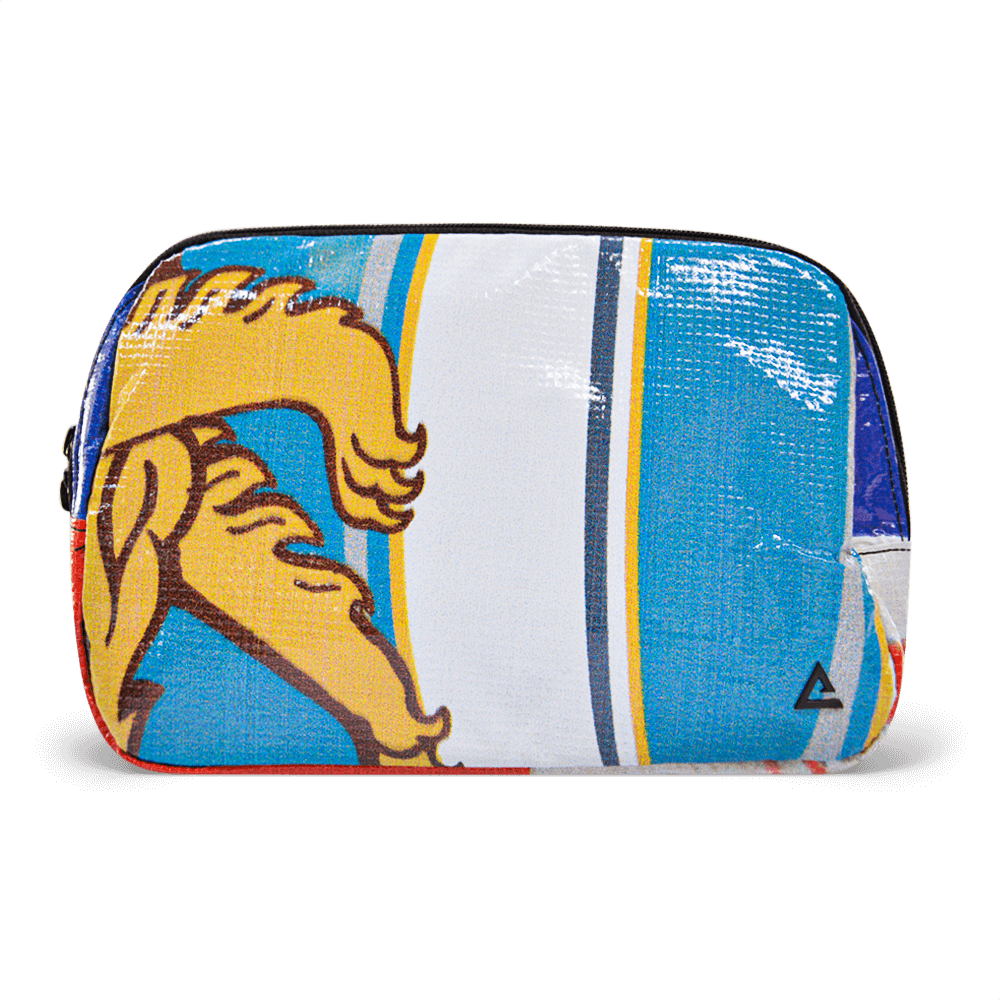 Large Zion Sling Bag