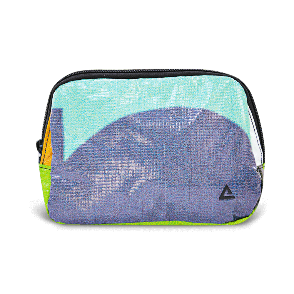 Zion Sling Bag
