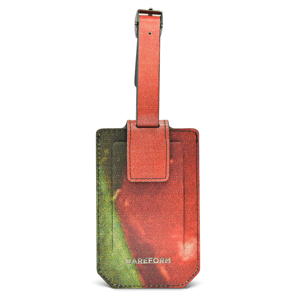 Salvador Luggage Tag