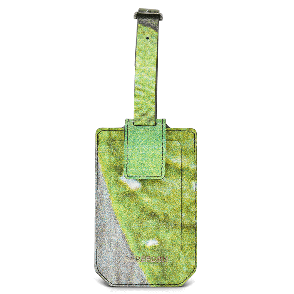 Salvador Luggage Tag