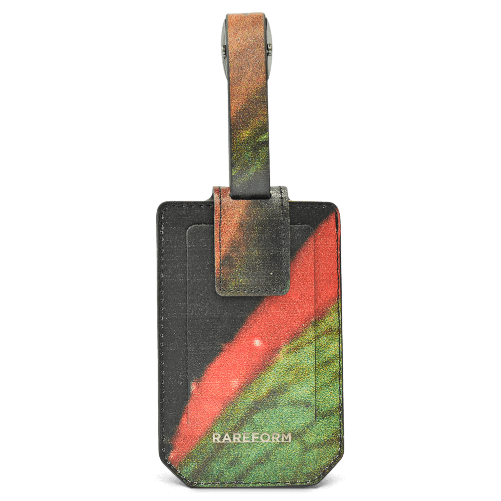 Salvador Luggage Tag