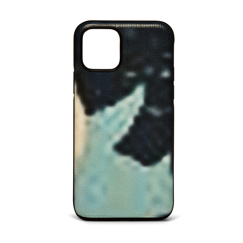 iPhone 11 Pro Case