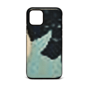 iPhone 11 Pro Case