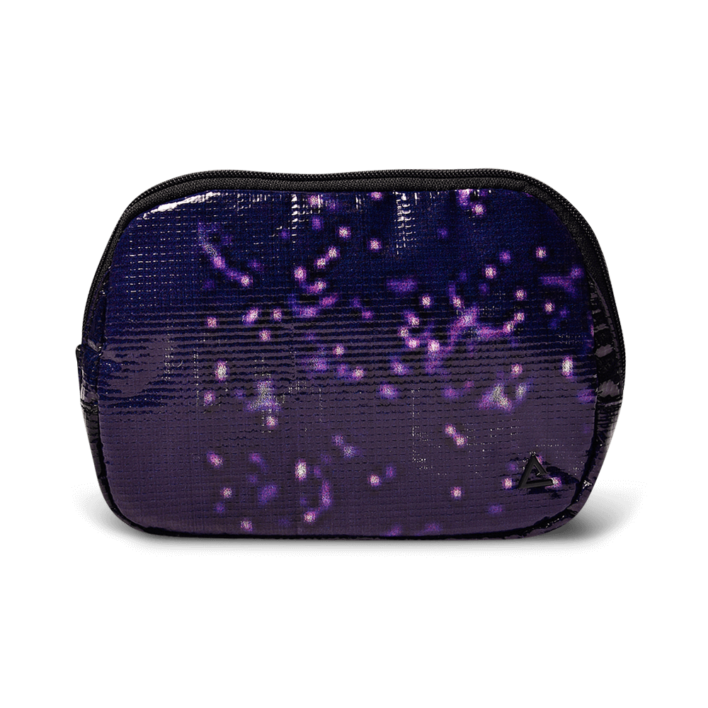 Zion Fanny Pack