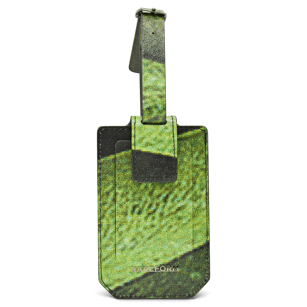 Salvador Luggage Tag