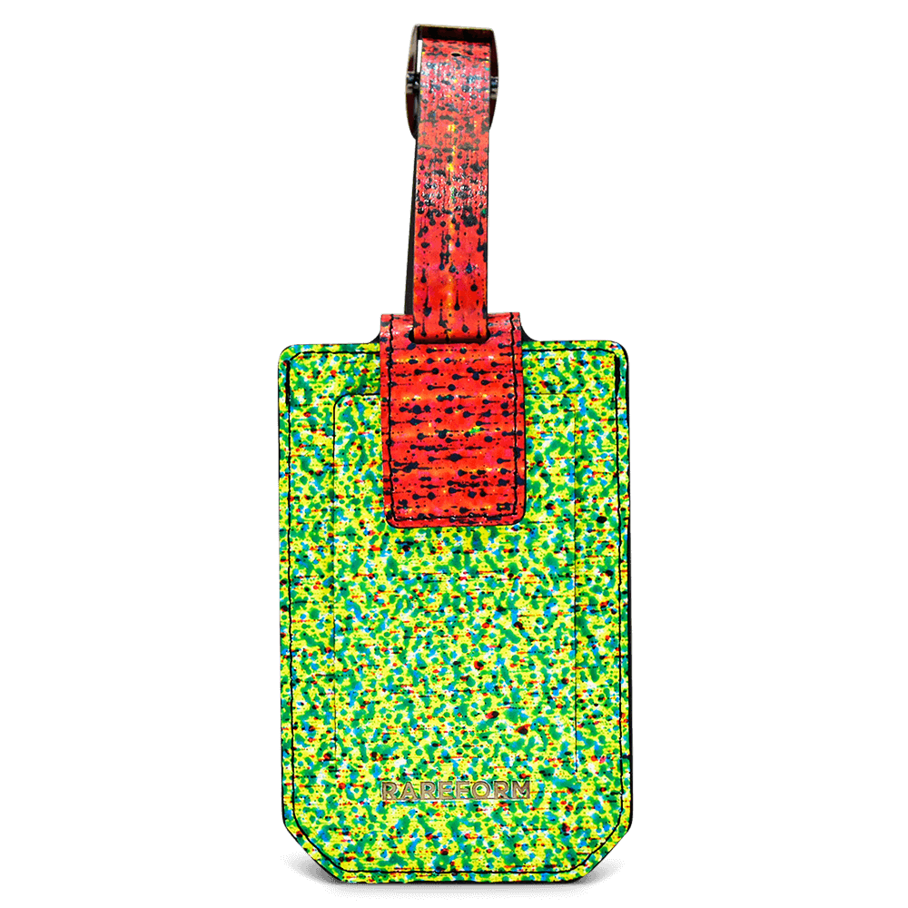 Salvador Luggage Tag