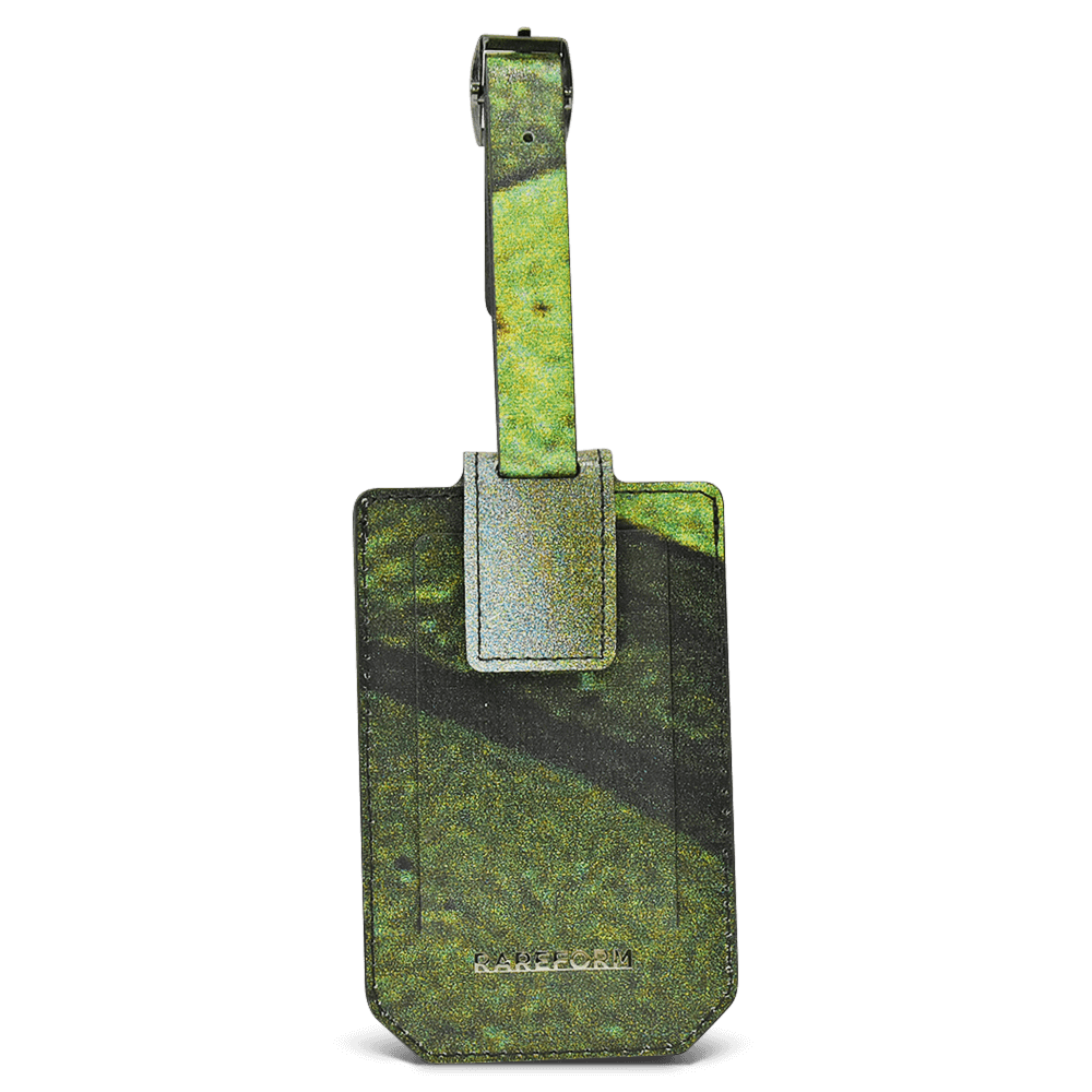 Salvador Luggage Tag