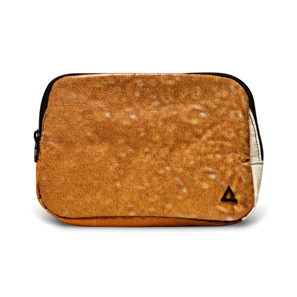 Zion Fanny Pack