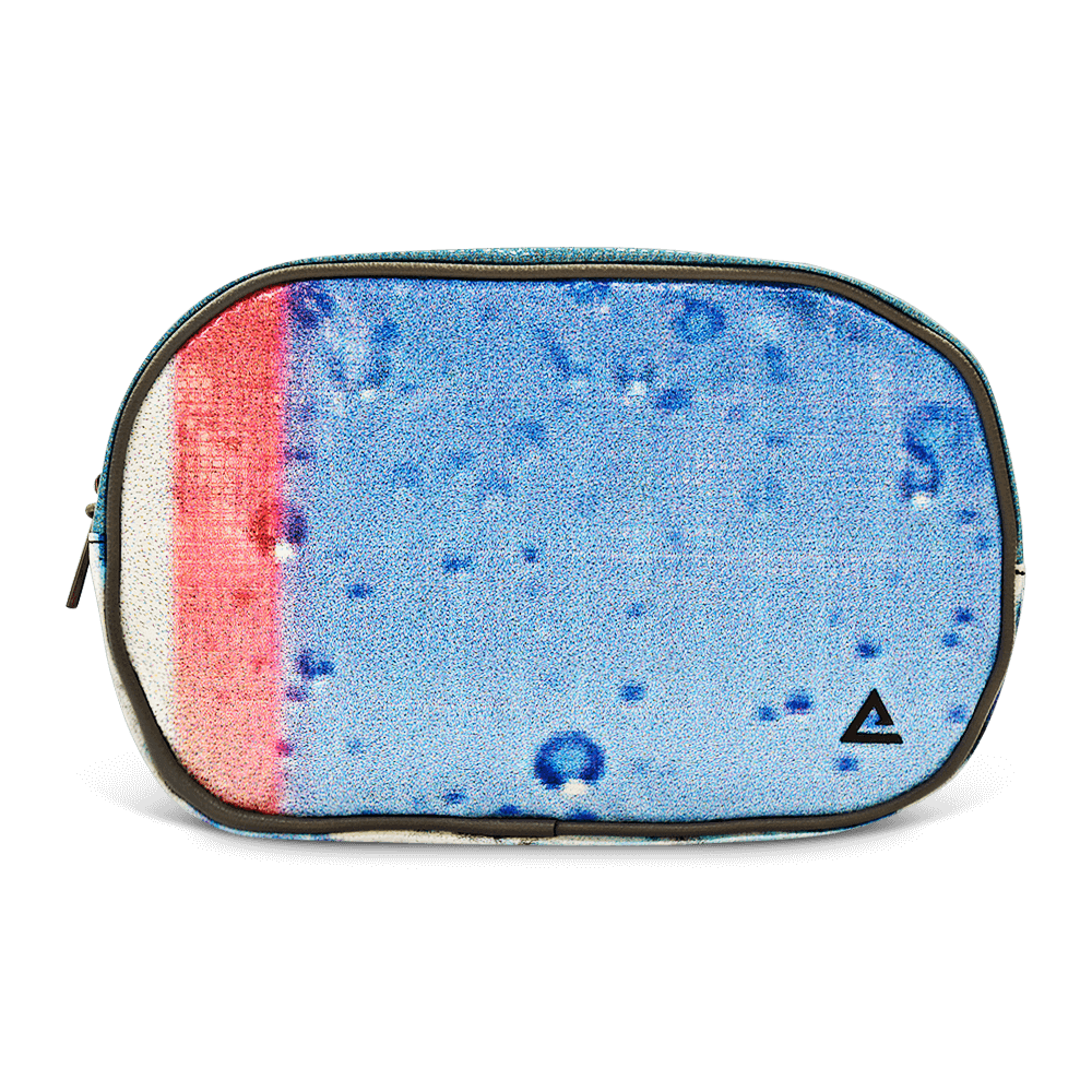 Riley Cosmetic Bag