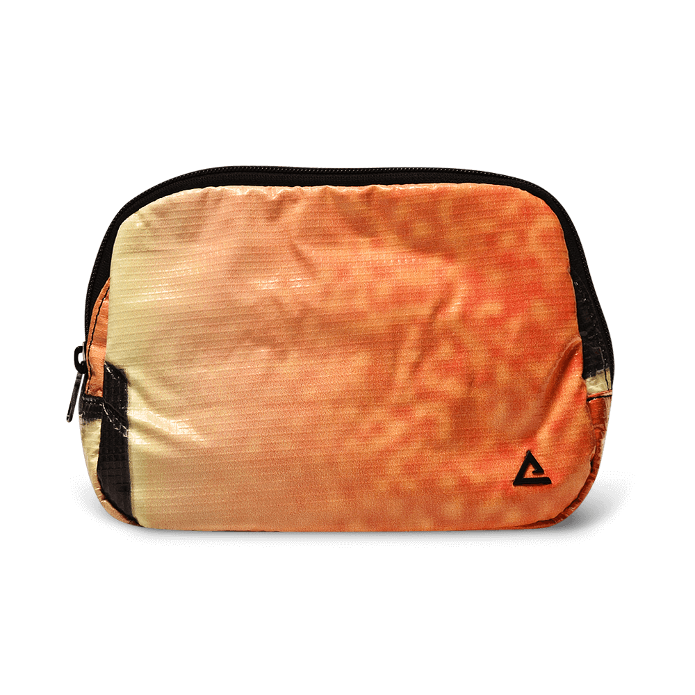 Zion Fanny Pack