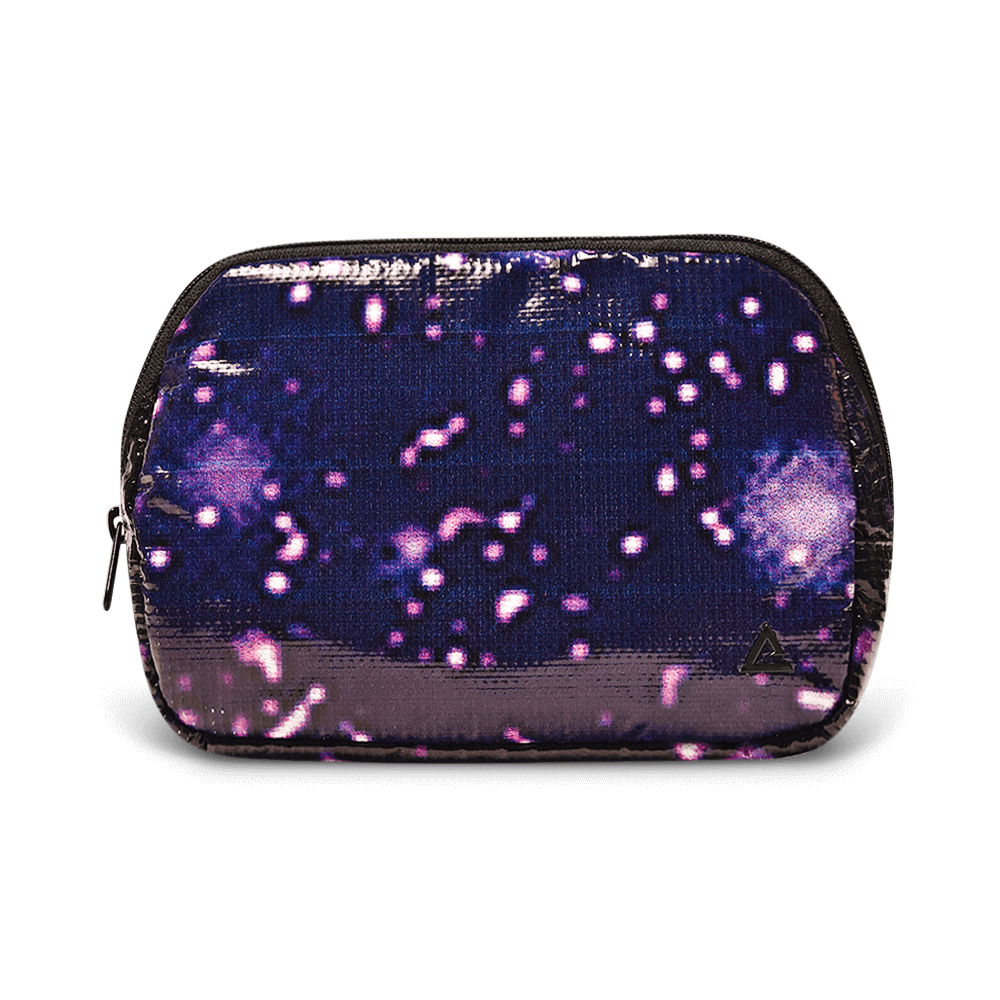 Zion Fanny Pack