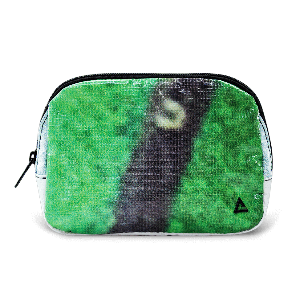 Zion Fanny Pack