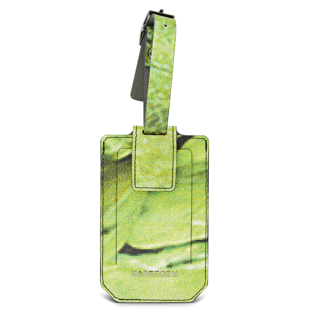 Salvador Luggage Tag
