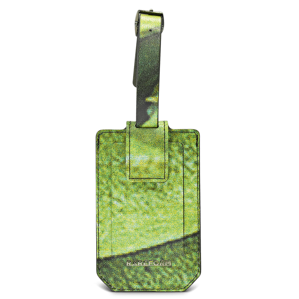 Salvador Luggage Tag