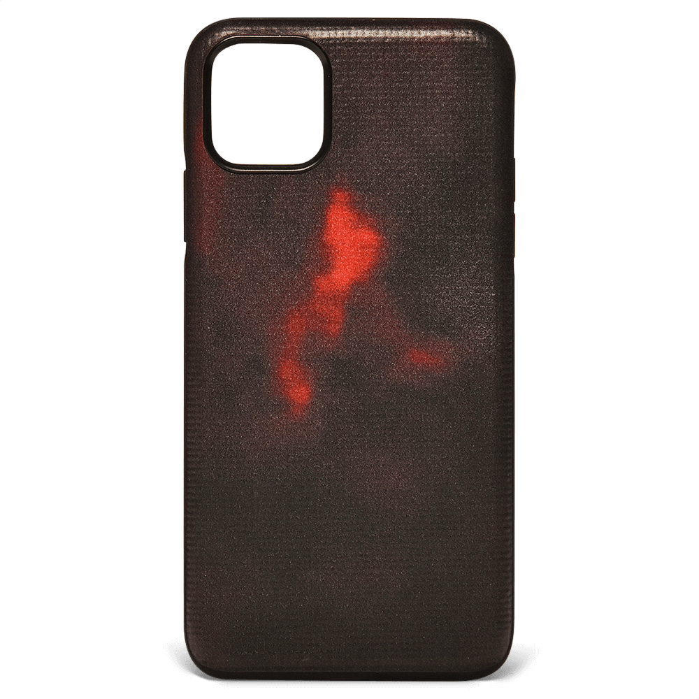 iPhone 11 Pro Max Case