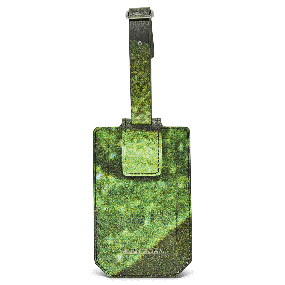 Salvador Luggage Tag