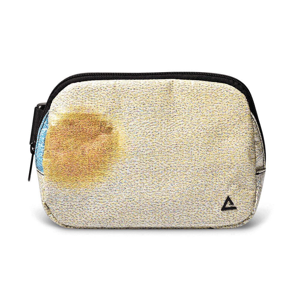 Zion Fanny Pack