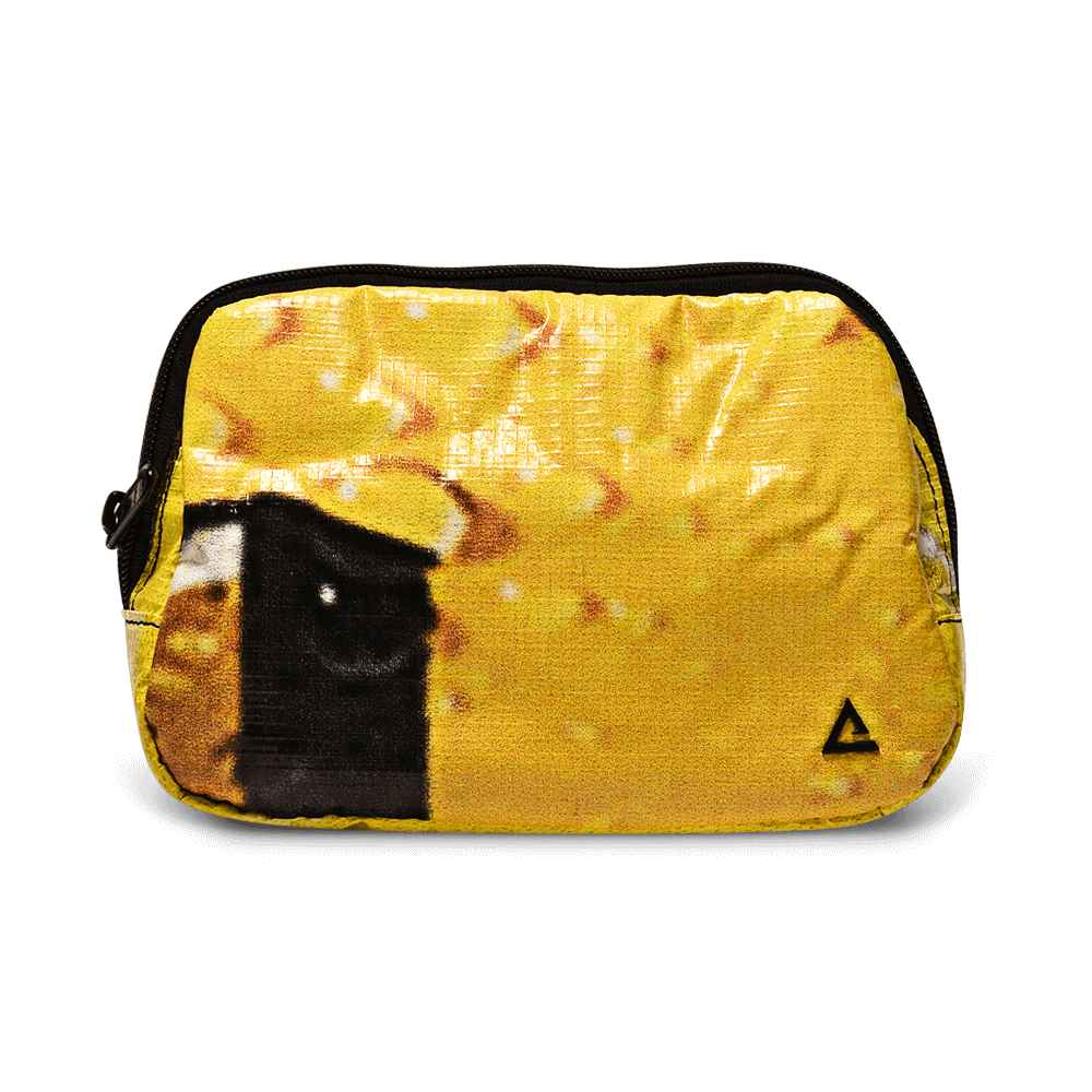 Zion Fanny Pack