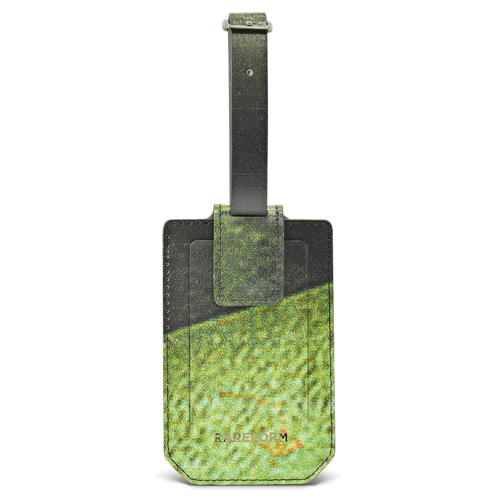 Salvador Luggage Tag