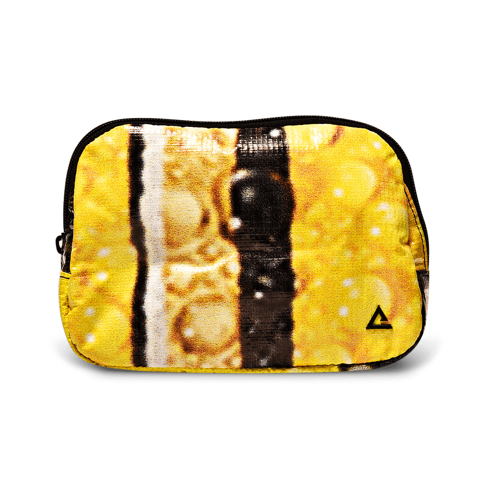 Zion Fanny Pack