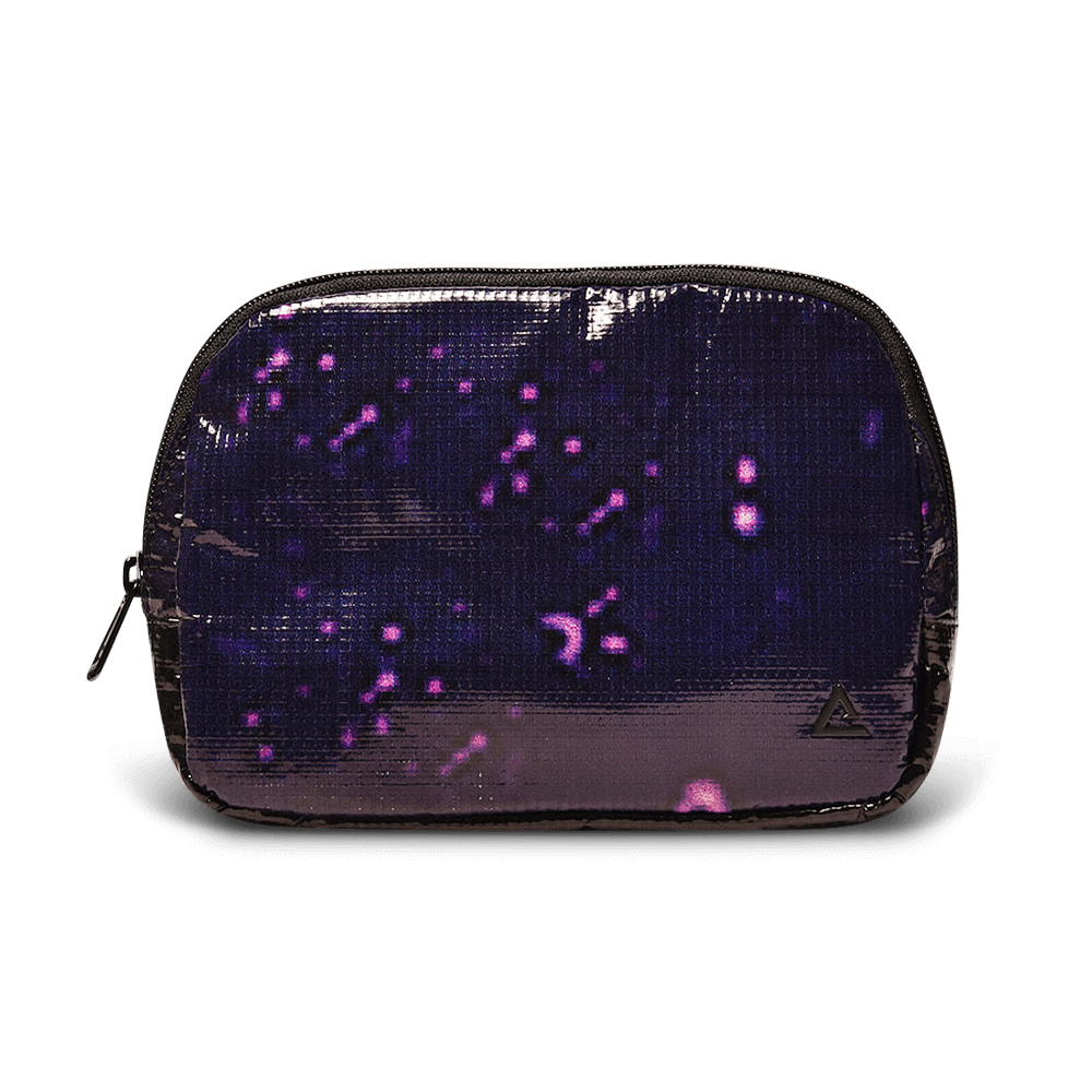 Zion Fanny Pack