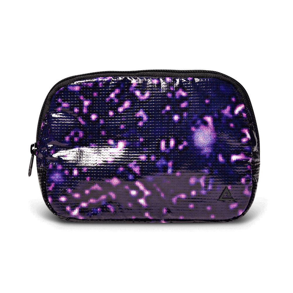 Zion Fanny Pack