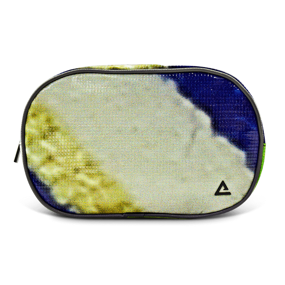 Riley Cosmetic Bag