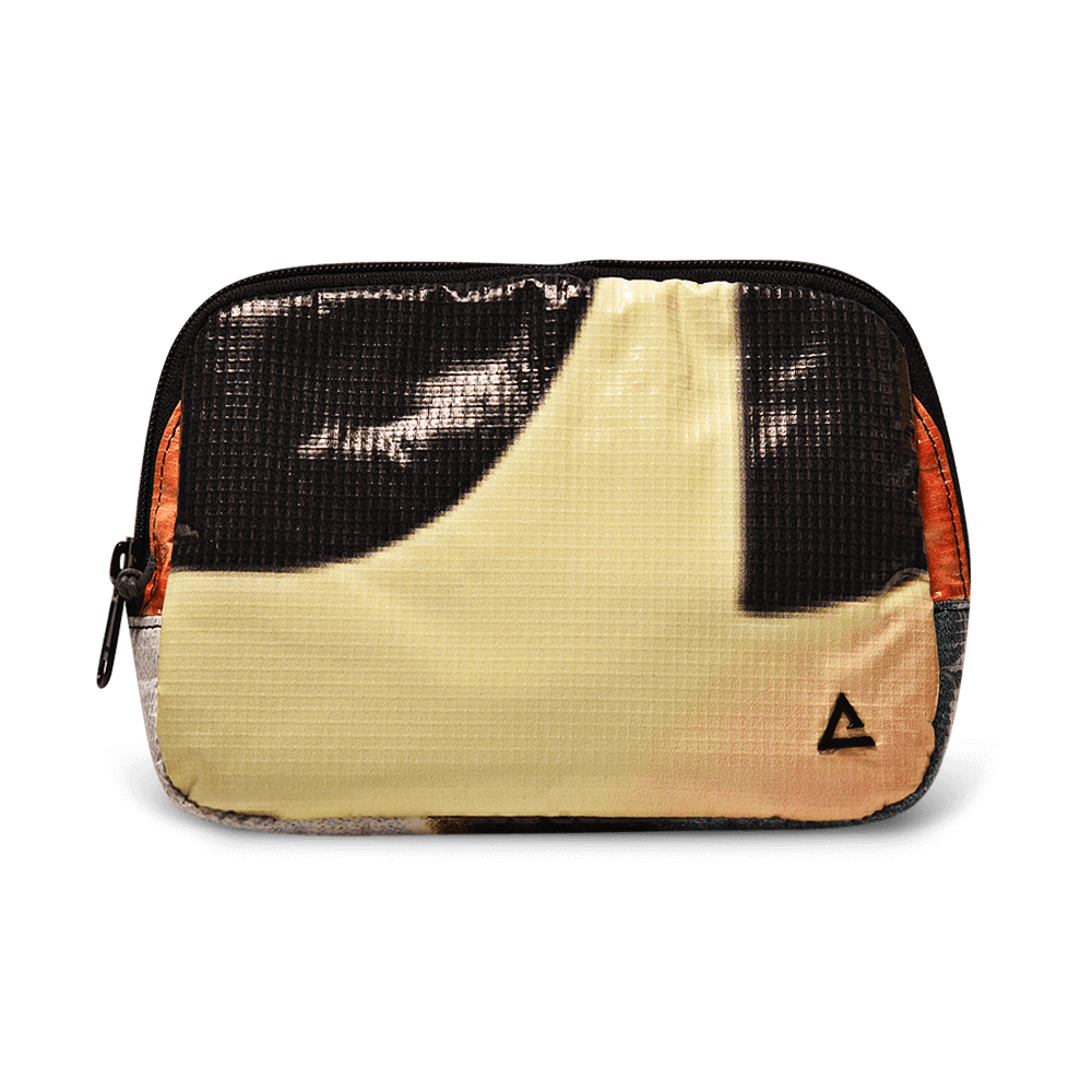 Zion Fanny Pack