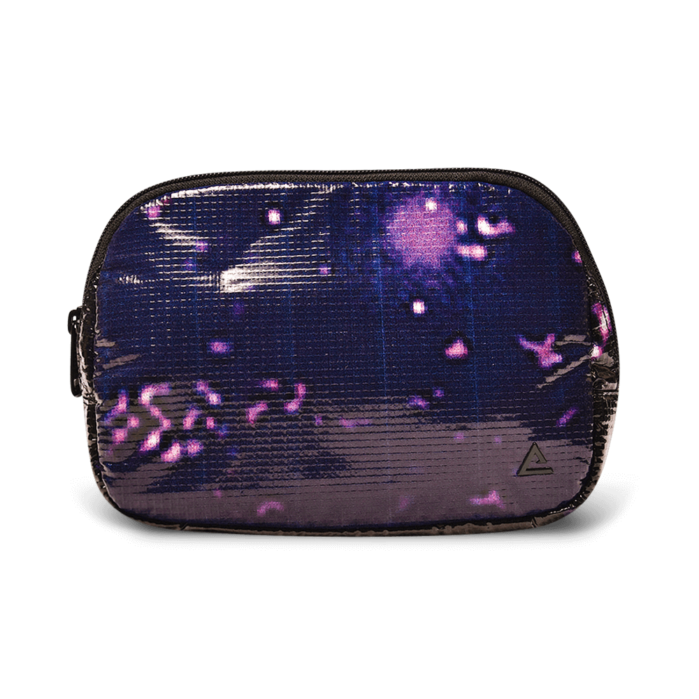 Zion Fanny Pack