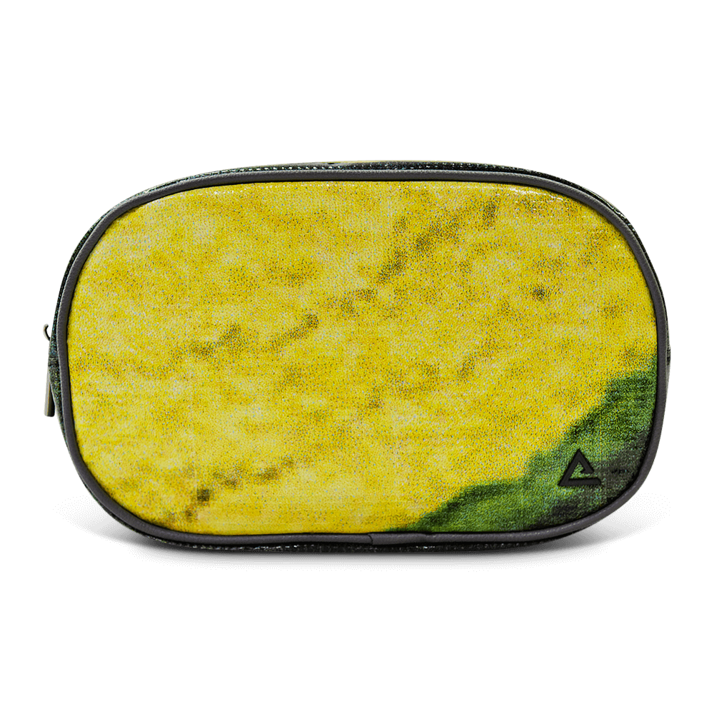 Riley Cosmetic Bag