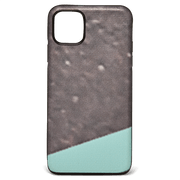 iPhone 11 Pro Max Case