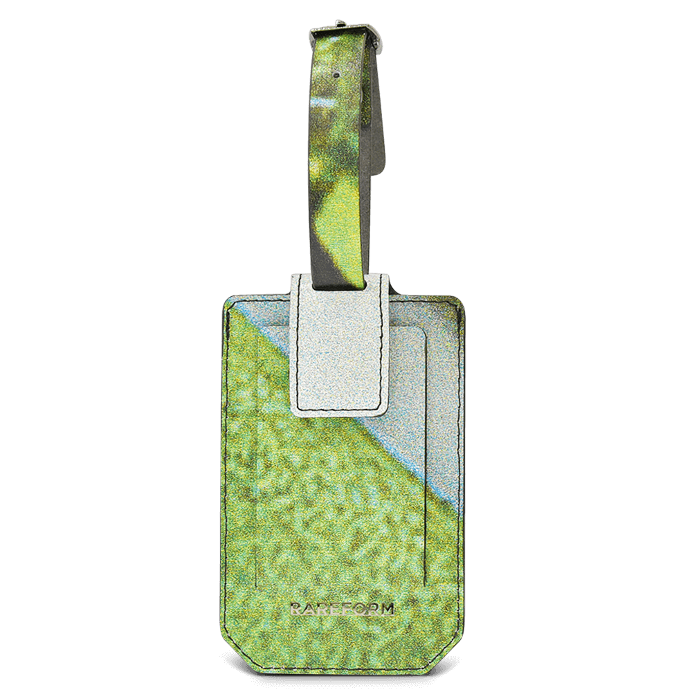 Salvador Luggage Tag