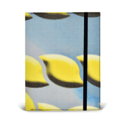 Oliver Notebook