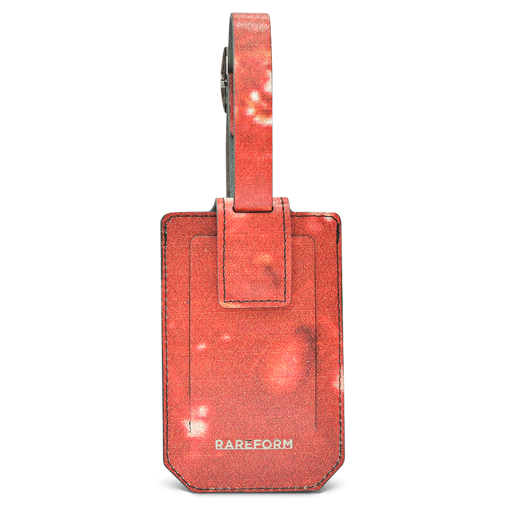 Salvador Luggage Tag