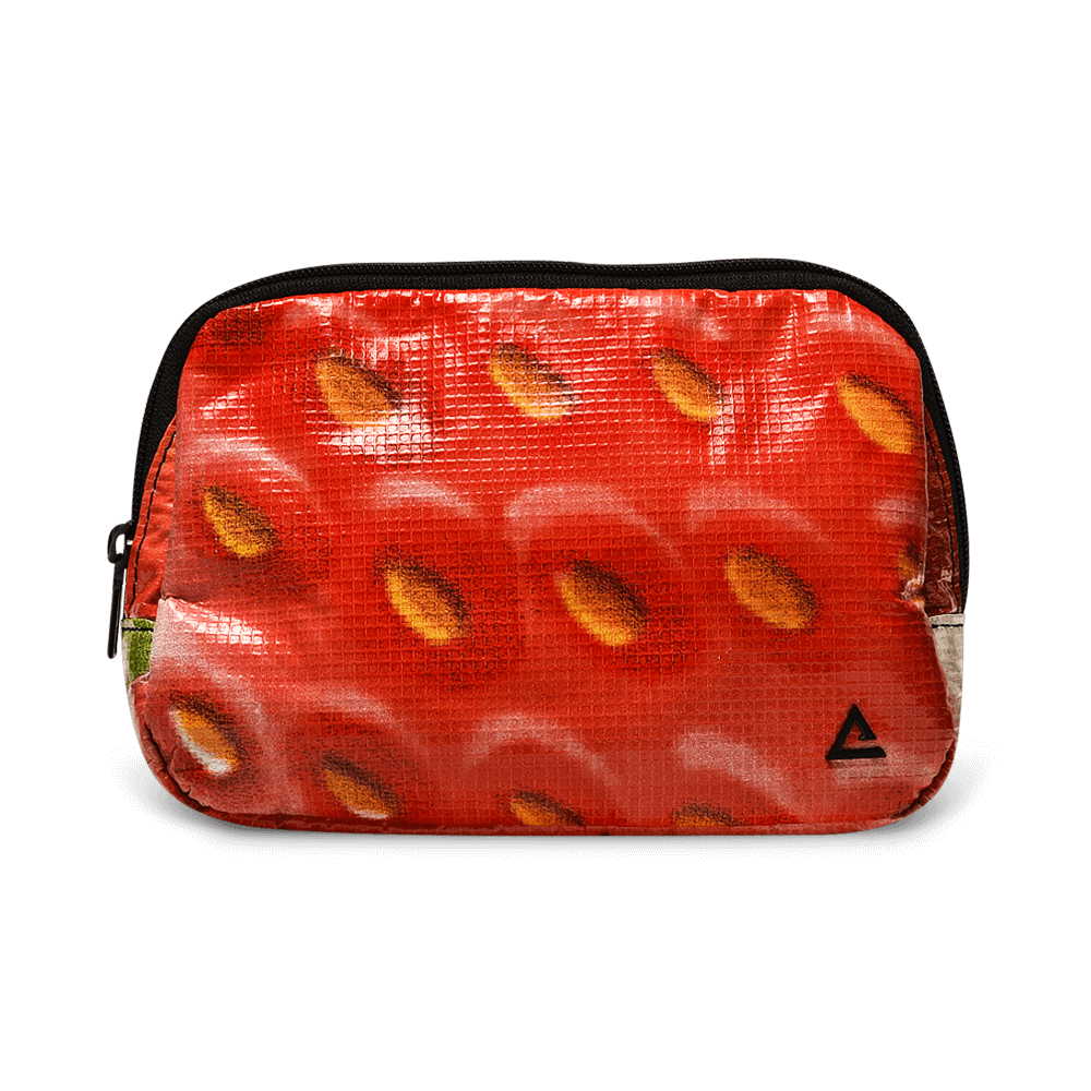 Zion Fanny Pack