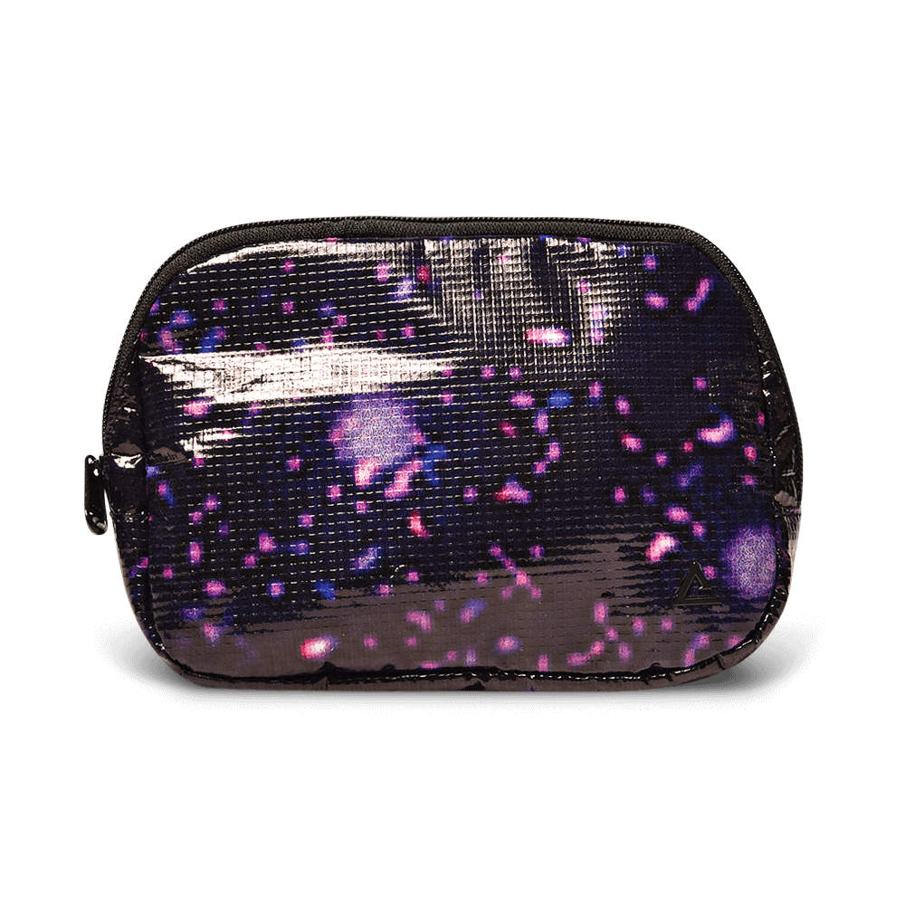 Zion Fanny Pack