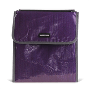 Merrick Lunch Tote 2.0