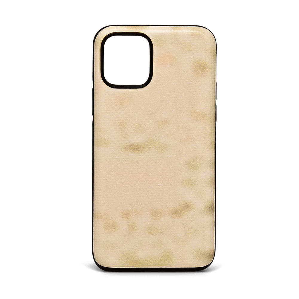 iPhone 11 Pro Case