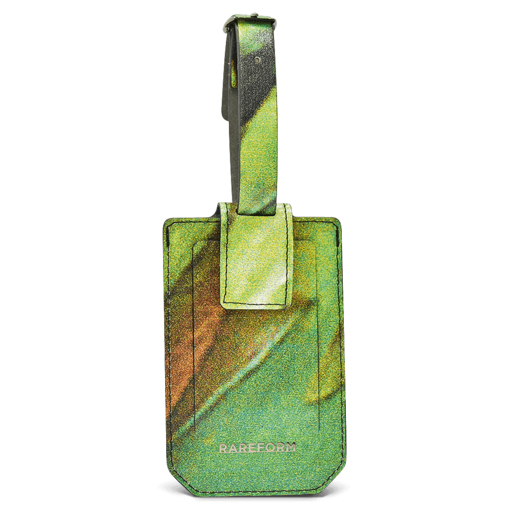 Salvador Luggage Tag