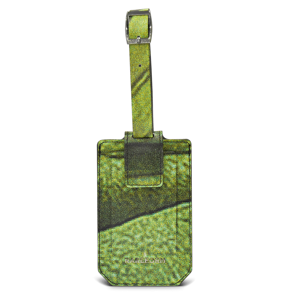 Salvador Luggage Tag